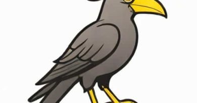 Cockcrow Literature Questions And Answers Pdf