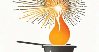 Describe What A Pyrotechnic Does For A Living