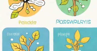 Difference Between Plasmolysis And Placidity