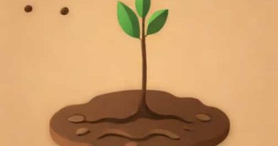 Effect Of Puddling On Soil Physical Properties