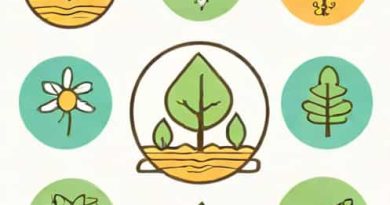 Explain Innateness In The Four Orders Of Nature