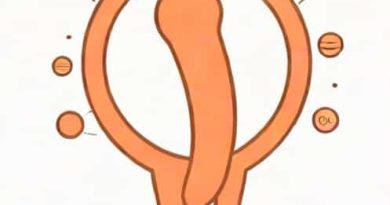 Explain The Phallic Stage In Psychosexual Development