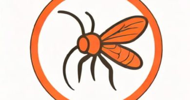 First Line Treatment For Uncomplicated Malaria In Pregnancy