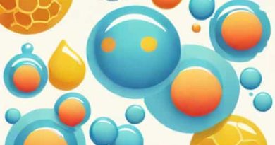 Gel Like Fluid Where The Organelles Are Found