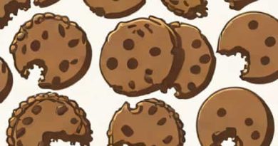 Guittard Semisweet Chocolate Super Cookie Chips