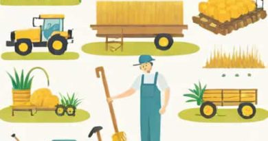 How Did Pisistratus Help Farmers And The Poor