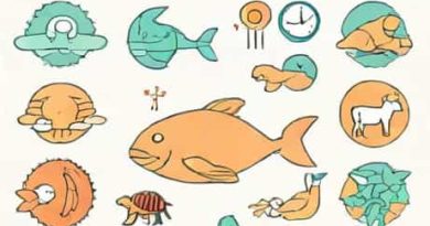How Is Embryological Development Used To Support Evolution