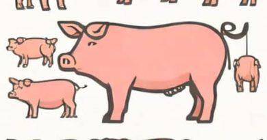 How Transgenic Pigs And Cattle Are Commercially Beneficial