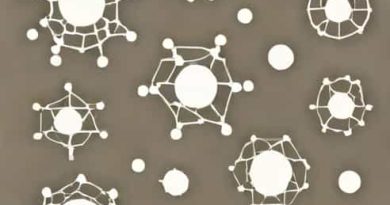 Large Binucleated Cells With Prominent Nucleoli