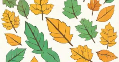 Leaves The Scene After Spreading Misinformation