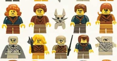 Lego Harry Potter Transfiguration Class Instructions