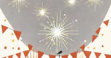 Loud Pyrotechnic Displays During A Celebration Is Called