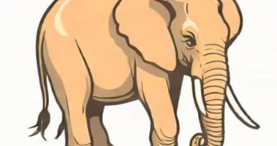 Malassezia Pachydermatis Y Staphylococcus Intermedius