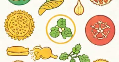Name Three Microorganisms That Contaminate Food