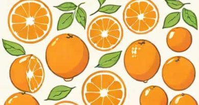 Oranges Are Not The Only Fruit Postmodernism