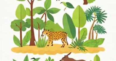 Quantitative Ethnobotany And Amazonian Conservation