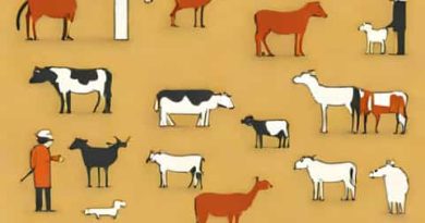 Question Answer Of Pastoralists In The Modern World