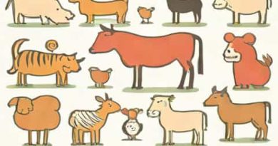 Questions About Animal Farm For A Socratic Seminar