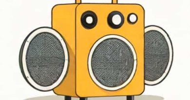 Rechargeable Speaker With Amplifier Megaphone
