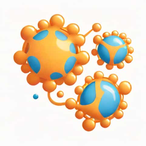 Relationship Between Nucleolus And Ribosomes