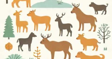 Seasonal Journey Undertaken By Animals Are Known As