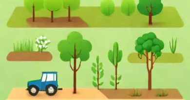 Shifting Cultivation Intensive Or Extensive