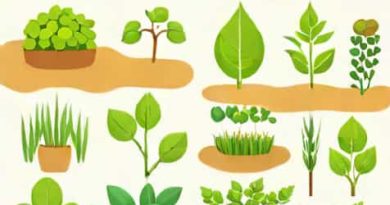 Unwanted Plants In The Cultivated Field Are Called