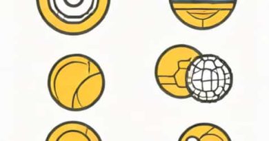 Use An Immutable Ball To Evolve An Accessory