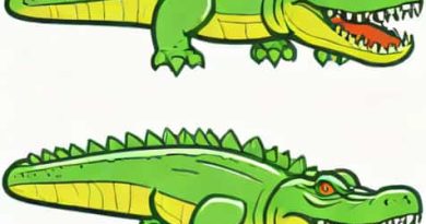 Visual Difference Between Crocodile And Alligator