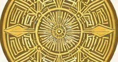 What Does Obtrusive Mean In The Great Gatsby