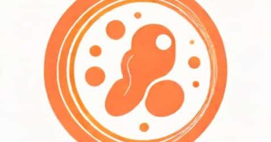 What Is The Definition Of Embryological Development