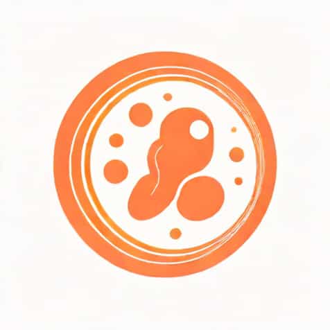 What Is The Definition Of Embryological Development