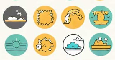 What Is The Difference Between Adaption And Adaptation
