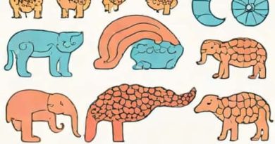 What Is The Difference Between Parthenocarpy And Parthenogenesis