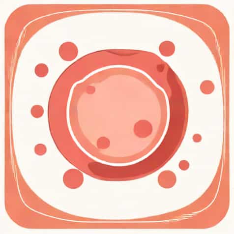 What Is The Function Of Transitional Epithelium
