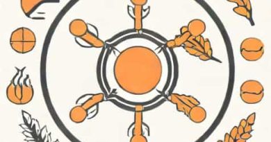 What Is The Meaning Of Substratum In Biology