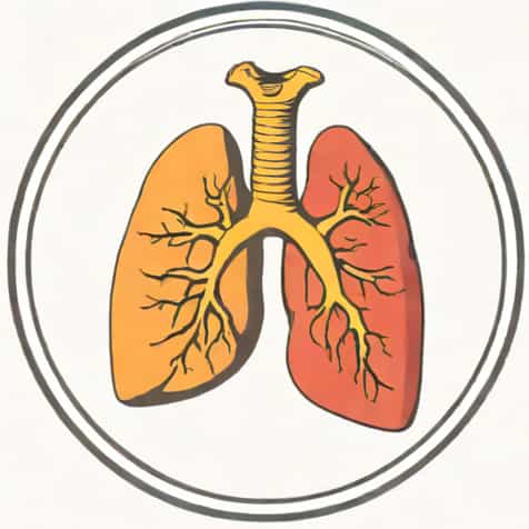 What Is Total Anomalous Pulmonary Venous Return