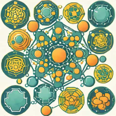 What Organelles Are Assembled In The Nucleoli
