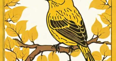 What State Is Nicknamed The Yellowhammer State