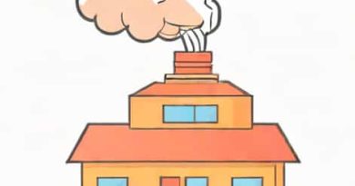 Which Structures Warm And Humidify Inhaled Air