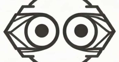 Why Are Both Vision And Disillusion Necessary