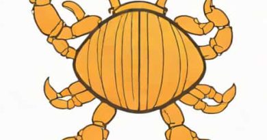 X Is A Marine Segmented Dioecious Invertebrate