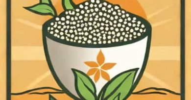 Best High Potash Fertilizer
