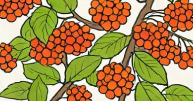 Best Time To Prune Viburnum