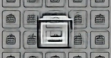 Bewilder Box Voucher Code
