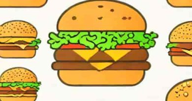 Burger Mister Beast