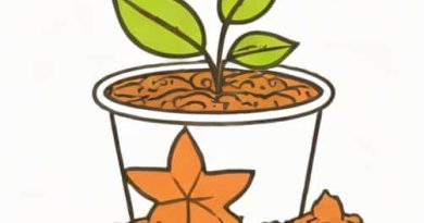 Can You Inoculate Coco Coir