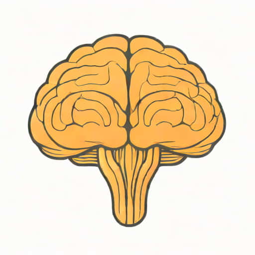 Cerebellum Has Very Convoluted Surface