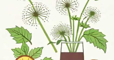 Dandelion And Burdock Recipe