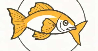 Do Fish Bite When Its Windy